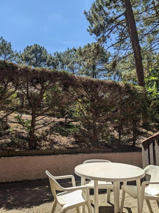 Agreable Dans Calme Sous Les Pins Apartment