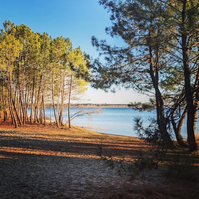 Apartment Agreable Dans Calme Sous Les Pins Lacanau